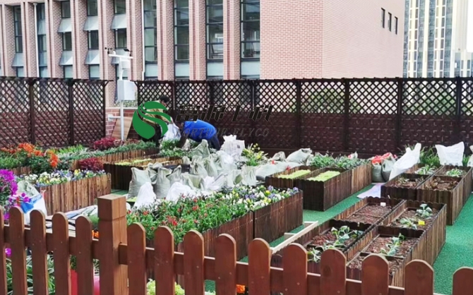 青園友誼小學(xué)有了自己的智慧農(nóng)場氣象站