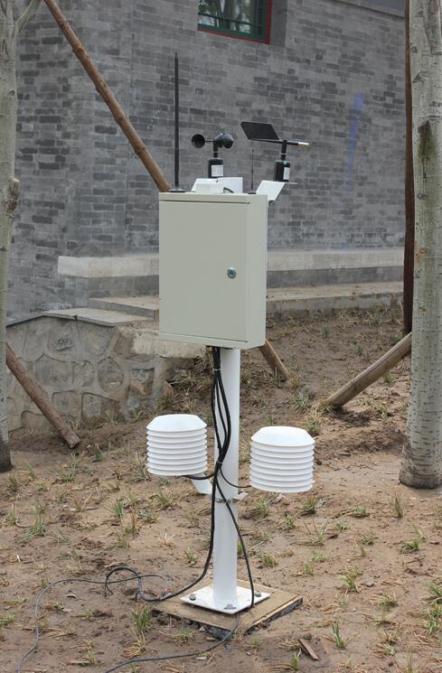 首片“中國(guó)信息林”氣象站建成